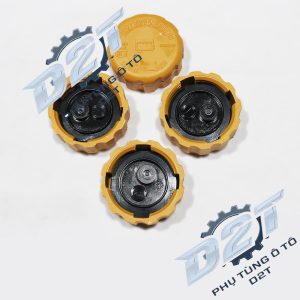 Nắp bình nước phụ ô tô Daewoo Lanos, Cielo, Lacetti, Nubira hàng GM